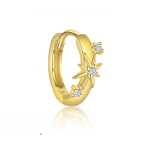 wholesale S925 Sterling Silver Minimalist Starry Sparkle Micro-Set Earrings for Women, Trendy Exquisite Design Cross-Border-E4804-Gold/Pair 925 Silver