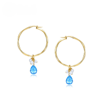 wholesale Pure silver new Japanese light luxury jewelry short hair earrings niche design earrings retro-Synthetic blue crystal (clearance product, no refunds or exchanges unless there is a quality issue, please do not bid) > 925 silver