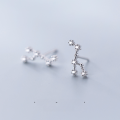 wholesale Metal S925 stud earrings for women, Korean-style minimalist and fresh, with diamond accents, twelve zodiac signs, sweet and fashionable ear jewelry G2096-0-9