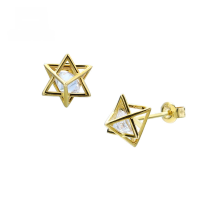 wholesale 9K Gold French Minimalist Niche Style Three-Dimensional Star White Zircon Earrings by Yili Jewelry Manufacturer Wholesale-Star Earrings (In Stock)  9K