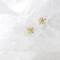 wholesale S925 silver small fresh shining star earrings sweet and elegant studded with diamonds for students G3723-s925 silver-silver earrings>925 silver