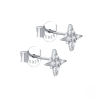 wholesale S925 Sterling Silver Octagonal Star Zircon Earrings, A Trendy And Minimalist Creative Style Popular In Europe And The Us-platinum