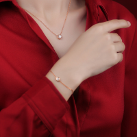 wholesale S925 Sterling Silver Long Drop Waterfall Crystal Rhinestone Fringe Minimalist Stylish Versatile Elegant Row Diamond Earrings G6765-S925 silver pair 925 silver