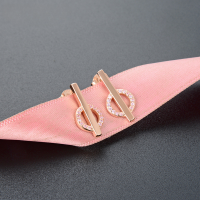 wholesale S925 silver rose gold plated diamond earrings elegant temperament super fairy fashion little chic style women's earrings one week earrings-Stud Earrings with Plastic Earplugs 925 Silver