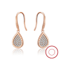 wholesale S925 sterling silver gold-plated ultra-sparkling zirconia drop earrings, manufacturer wholesale-0-119