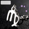 wholesale 925 Sterling Silver Small Pendant Tag, Twelve Zodiac Signs DIY Accessories Bracelet Necklace Extension Chain End Tag, Sold Separately (No Single Orders)-0-8