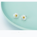 wholesale Metal material: s925 sterling silver Ear studs for women, Korean style fashion sweet shell flower with golden stamen, five-petal flower accessory E8850-0-2