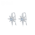wholesale [925 Sterling Silver] Natural Topaz Star Earrings for Women, European and American Style Fashion Ear Hook Jewelry for Cross-Border Wholesale-0-0