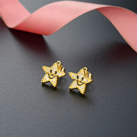 wholesale S925 Sterling Silver Micro-Pavé Crystal Star Stud Earrings, Creative Design, Niche Korean Style, Unique Earrings for Women-Stud Earrings with Plastic Earplugs 925 Silver