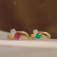 wholesale S925 Sterling Silver Red Elk Full Body Women's Ring French Light Luxury Openable Daily Commute Ring Tail Ring Fashion-BZ0301-Gold-Red Diamond Adjustable opening