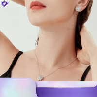 wholesale S925 silver zircon flower necklace cross-border best-selling jewelry set for Amazon Europe and America, custom jewelry processing-Necklace>925 Silver