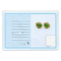 wholesale Gold-Plated 925 Silver with Zircon and Natural Hetian Jasper Inlaid Egg-Surface Jade Earrings-0-5