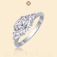 wholesale S925 Silver Guardian Ring Moissanite Closed Ring Cross-border TikTok Hot-selling Source Factory Ready Stock Wholesale-Moissanite cushion shape 7*7 Mido No. 9