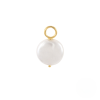 wholesale S925 Sterling Silver Earrings Charm Bead Pendant Accessories For Women's Office Wear-#25