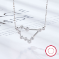 wholesale S925 Sterling Silver Amazon Best-Selling Women's Versatile Niche Chain Twelve Zodiac Signs Zircon Pendant European and American Jewelry-0-8