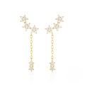 wholesale S925 Sterling Silver Flower And Zircon Earrings With Star Design, Popular In Europe And The Us-0-4