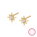 wholesale S925 Sterling Silver Eight-Pointed Star Stud Earrings with Diamond Accents, Small Sun Earrings for Women, Minimalist Fashionable and Unique INS Style Earrings-0-4