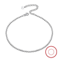 wholesale S925 Sterling Silver Anklet with Tassels, Minimalist and Versatile Women's Foot Jewelry, Cross-Border Direct from Manufacturer-0-22