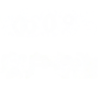 wholesale Metal XB095 Four-Leaf Clover Circular Geometric Necklace Customer Exclusive Purchase-XB095-white mother-of-pearl gold