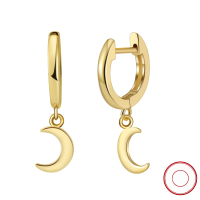 wholesale S925 Sterling Silver Gold-Plated Moon Pendant Earrings Luxury Wholesale Direct from Manufacturer-Platinum, approximately 1.59g 925 silver