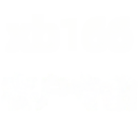 wholesale Metal XB166 Four-Leaf Clover Sweater Chain - Customer Exclusive Purchase-xb166-white gold chain 45cm