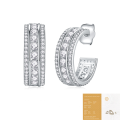 wholesale 925 Sterling Silver Metal Material, Small and Niche European and American Light Luxury Ear Hoops for Women, Non-Fading, New Style Cross-Border Hot-Selling Moissanite Earrings in Stock-0-8
