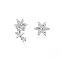 wholesale 925 Sterling Silver New Asymmetrical Octagram Moon Flower Zircon Inlaid Earrings, Summer Hot Sellers-Platinum #2 925 Silver