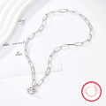 wholesale 925 Sterling Silver Women's Necklace European and American Style Minimalist Cold-toned Chain Necklace Halloween Jewelry Wholesale-0-3