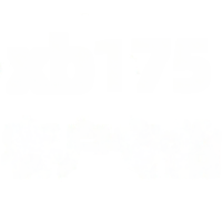 wholesale Metal Material XB175-Plum Blossom Stud Earrings Customer Special Order-XB175-white gold