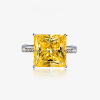 wholesale 925 Silver Shipei Jewelry 8 Carat Luxury Princess Cut 12*12 Synthetic High Carbon Diamond Ring for Women, Drop Shipping-Dark blue 12*12; F55【R-0351】 No. 6