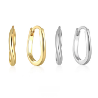 wholesale S925 Sterling Silver Irregular Smooth Curved Wave Hoop Ear Clasp, Fashionable Minimalist Versatile Geometric Earrings-Platinum