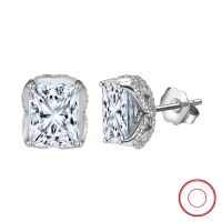 wholesale 925 Silver New Stylish Zircon Stud Earrings for Women, Versatile Mini Elegant Earrings, Wholesale from Manufacturer-Platinum, approximately 4.0g>925 silver