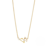 wholesale S925 Sterling Silver New Zodiac Star Pendant Necklace With Zircons, Trendy And Popular-Gold-Leo 925 silver