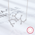 wholesale S925 Sterling Silver Amazon Best-Selling Women's Versatile Niche Chain Twelve Zodiac Signs Zircon Pendant European and American Jewelry-0-12
