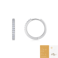 wholesale 925 Sterling Silver Fashionable and Popular Moissanite Hoop Earrings for Cross-Border Style, Luxurious High-End Elegance-0-12