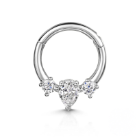 wholesale S925 Sterling Silver European And American Hot-selling Light Luxury Multi-zircon Zirconia Cartilage Nose Ring And Ear Clips-Single platinum-style 1