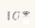 wholesale Sterling Silver, Fashion Hot-Selling Light Luxury Moissanite Earrings Hoop Earrings for Women, High-End Ear Clips, Niche Pure Silver Ear Clasps Accessories New Arrival-0-6