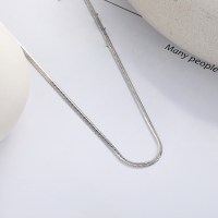 wholesale S925 Sterling Silver Korean Japanese Style Minimalist Ins Flat Snake Chain with Subtle Layering Collarbone Necklace Design-YL540 white gold/approx. 5.4g 925 silver