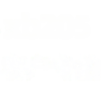 wholesale Metal XB205 Double Blooming Peony Necklace - Exclusive Customer Purchase-xb205-white gold