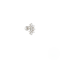 wholesale S925 Sterling Silver Moon Star Pendant Earrings With Screw Ball Threads For Cartilage Piercing-Single platinum #4