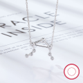 wholesale S925 Sterling Silver Amazon Best-Selling Women's Versatile Niche Chain Twelve Zodiac Signs Zircon Pendant European and American Jewelry-0-16