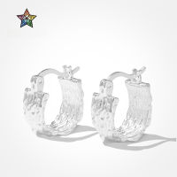 wholesale 925 Sterling Silver Earrings for Women, Minimalist Plain Silver Design, Crinkled Wide-Surface,-DY110370-SS-NA 925 Silver