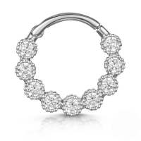 wholesale S925 Sterling Silver European And American Hot-selling Light Luxury Multi-zircon Zirconia Cartilage Nose Ring And Ear Clips-Single platinum-style 3