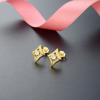 wholesale 925 Sterling Silver Small Fresh Fashionable Diamond Stud Earrings for Women, Korean Dongdaemun Zircon Inlaid Design Elegant Earrings-Earrings with plastic earplugs 925 silver