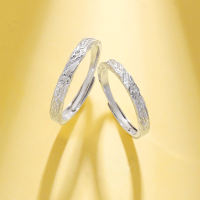 wholesale 925 Sterling Silver Glacier Couple's Open Adjustable Ring, Niche Luxury with a High-End Feel, Trendy Ring for Women, 520 Valentine's Day Gift for Girlfriend-Glacier Couple Ring/approx. 3.68g&gt;PR003753-1 Sterling Silver