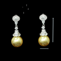 wholesale 925 Silver Gold-Plated Earrings with High-Carbon Diamonds and South Sea Gold Pearls, Fashionable and Exquisite Jewelry, Versatile Women's Earrings-0-1