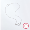 wholesale S925 Sterling Silver Amazon Best-Selling Women's Versatile Niche Chain Twelve Zodiac Signs Zircon Pendant European and American Jewelry-0-4
