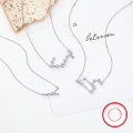 wholesale S925 Sterling Silver Amazon Best-Selling Women's Versatile Niche Chain Twelve Zodiac Signs Zircon Pendant European and American Jewelry-0-2