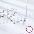 wholesale S925 Sterling Silver Amazon Best-Selling Women's Versatile Niche Chain Twelve Zodiac Signs Zircon Pendant European and American Jewelry-0-6