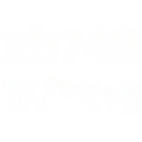 wholesale Metal Geometric Gold Necklace Customer Exclusive Purchase-xb748-gold